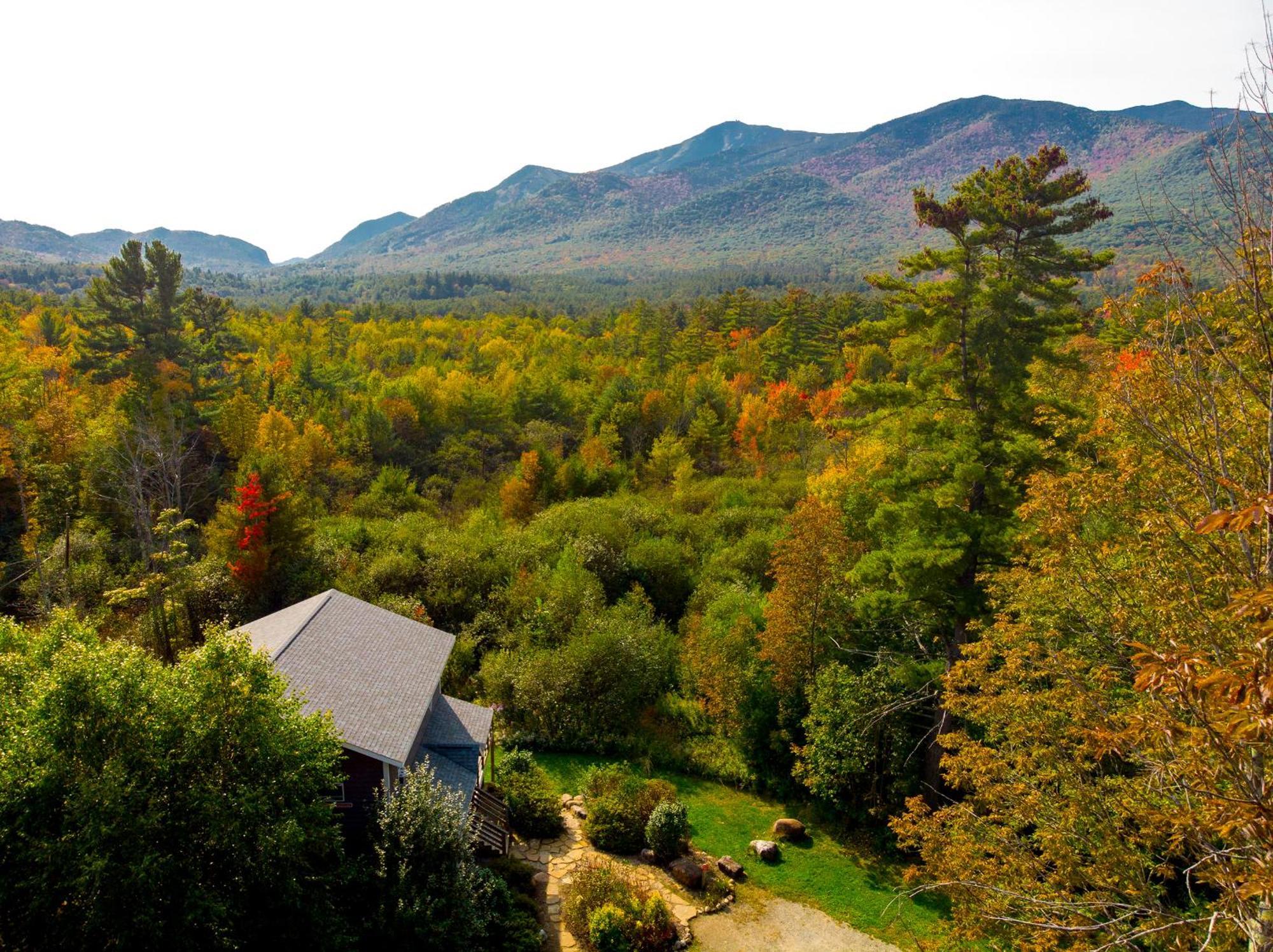 فيلا Lookout Mountain Chalet ويلمنجتون المظهر الخارجي الصورة