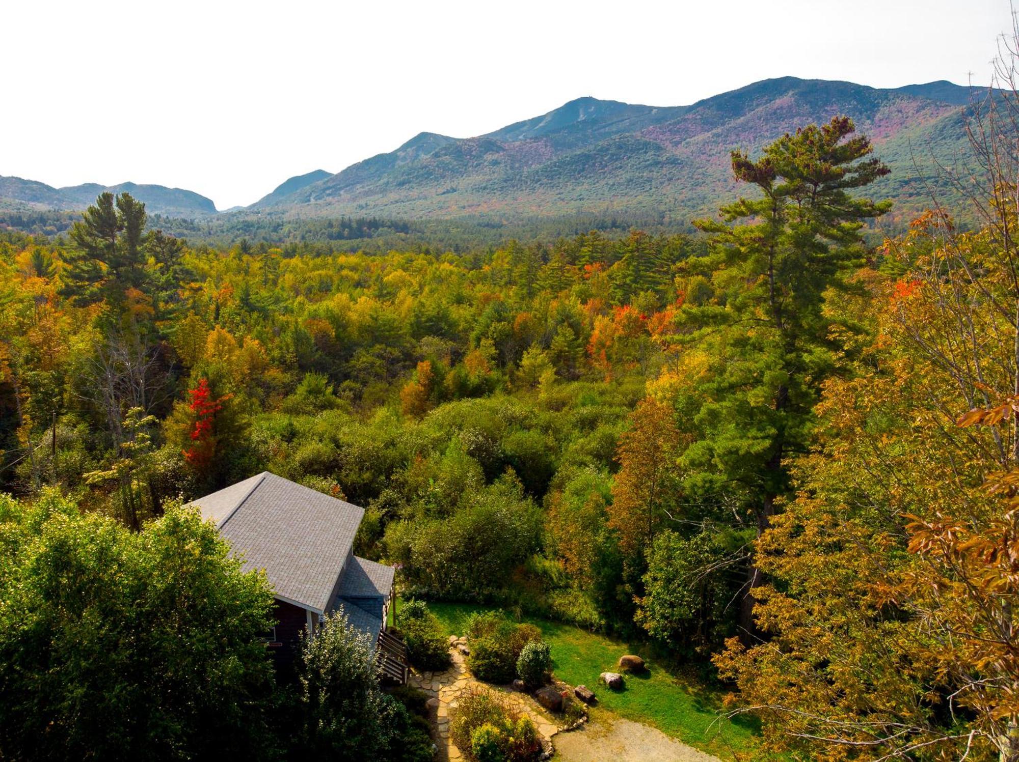 Lookout Mountain Chalet ويلمنجتون المظهر الخارجي الصورة